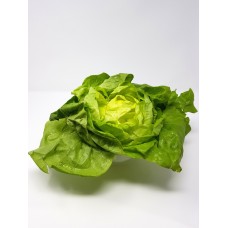Grüner Salat AT (STK)